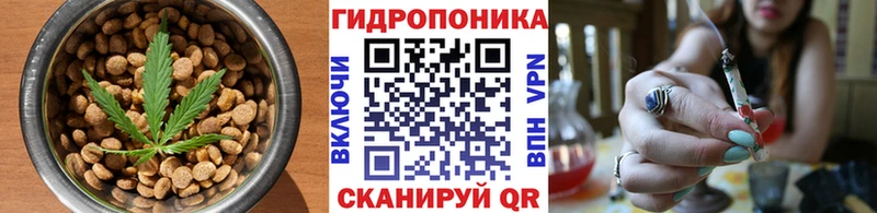 MEGA ссылки  дарк нет как зайти  Cannafood конопля  Данилов 