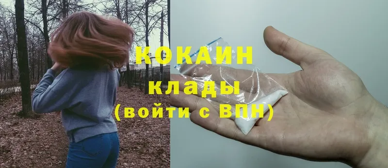 MEGA ТОР  где можно купить   Данилов  мориарти формула  Cocaine Fish Scale 