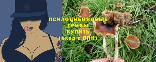 трава Вязьма