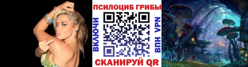 Галлюциногенные грибы Magic Shrooms  Данилов 